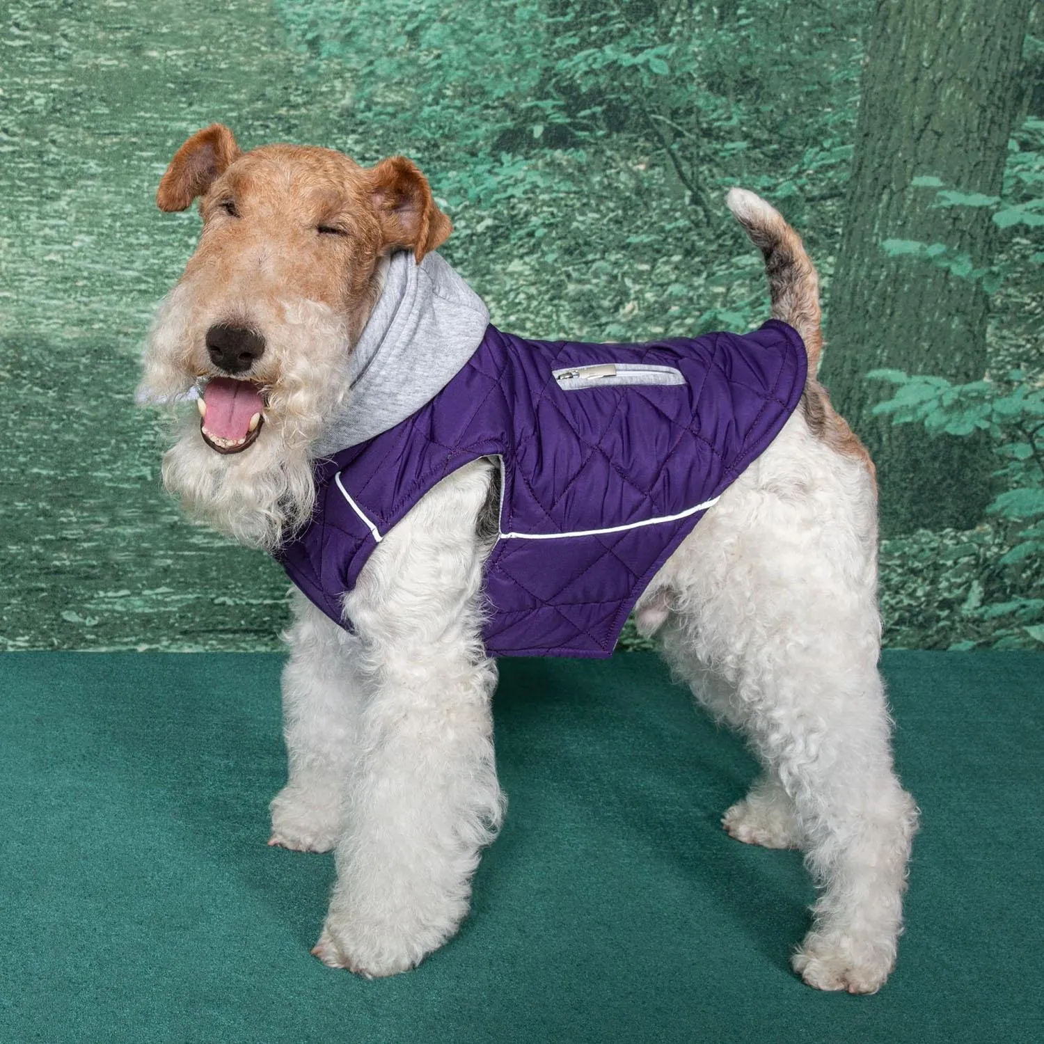 Doggie Design Weekender Quilted Hoodie Dog Jacket - Purple