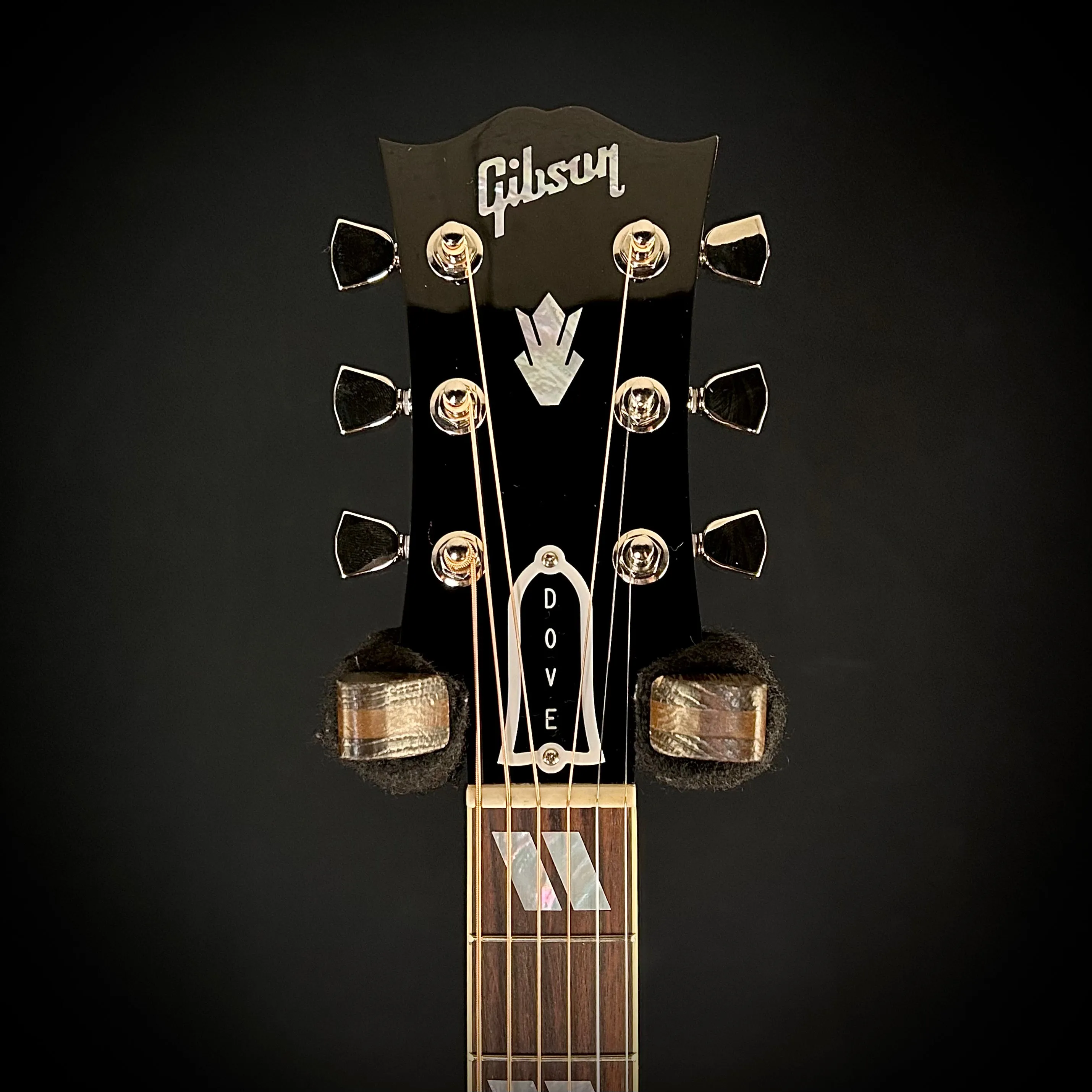 Gibson MV Custom Dove - Trans Black