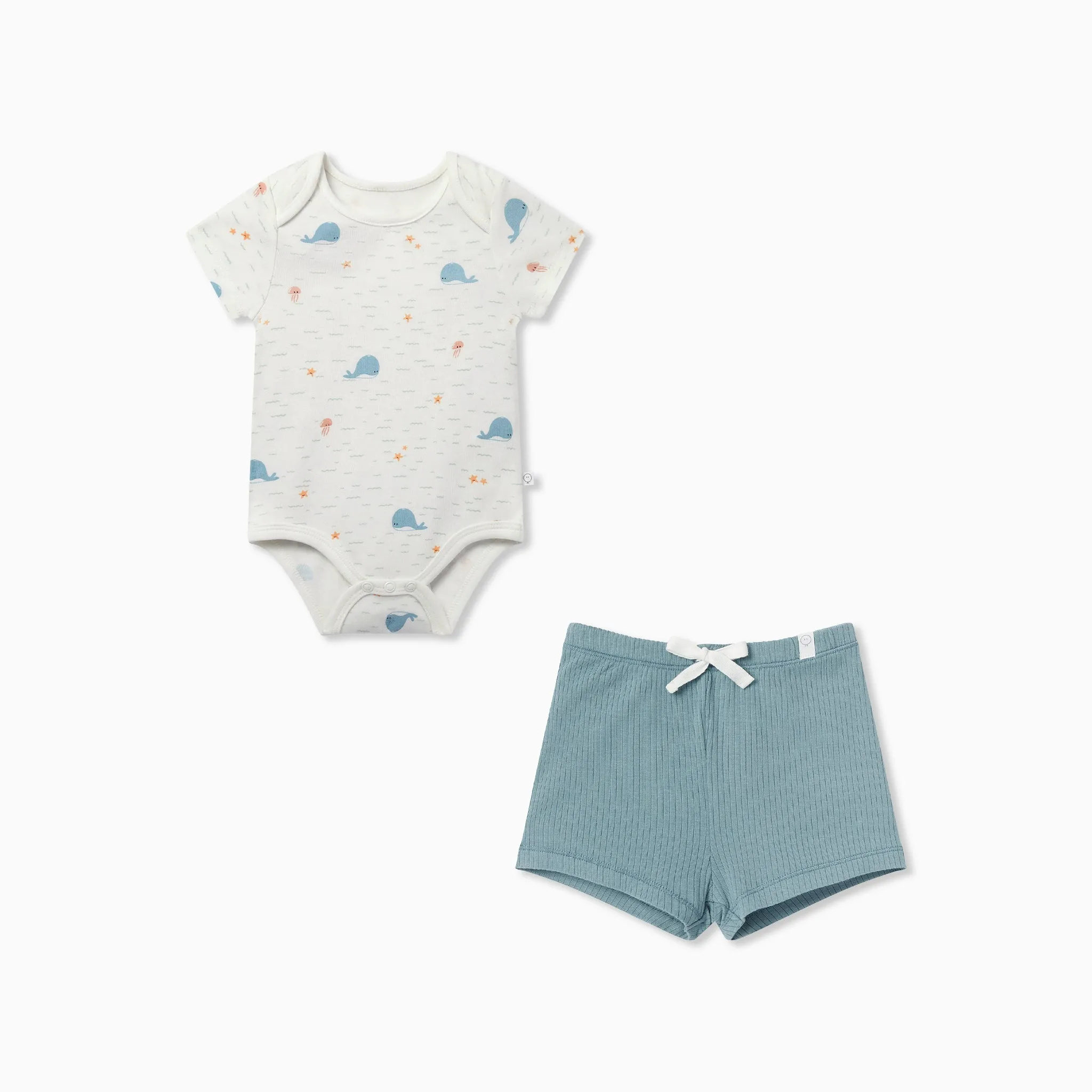 Whale Short Sleeve Bodysuit & Ribbed Shorts Outfit